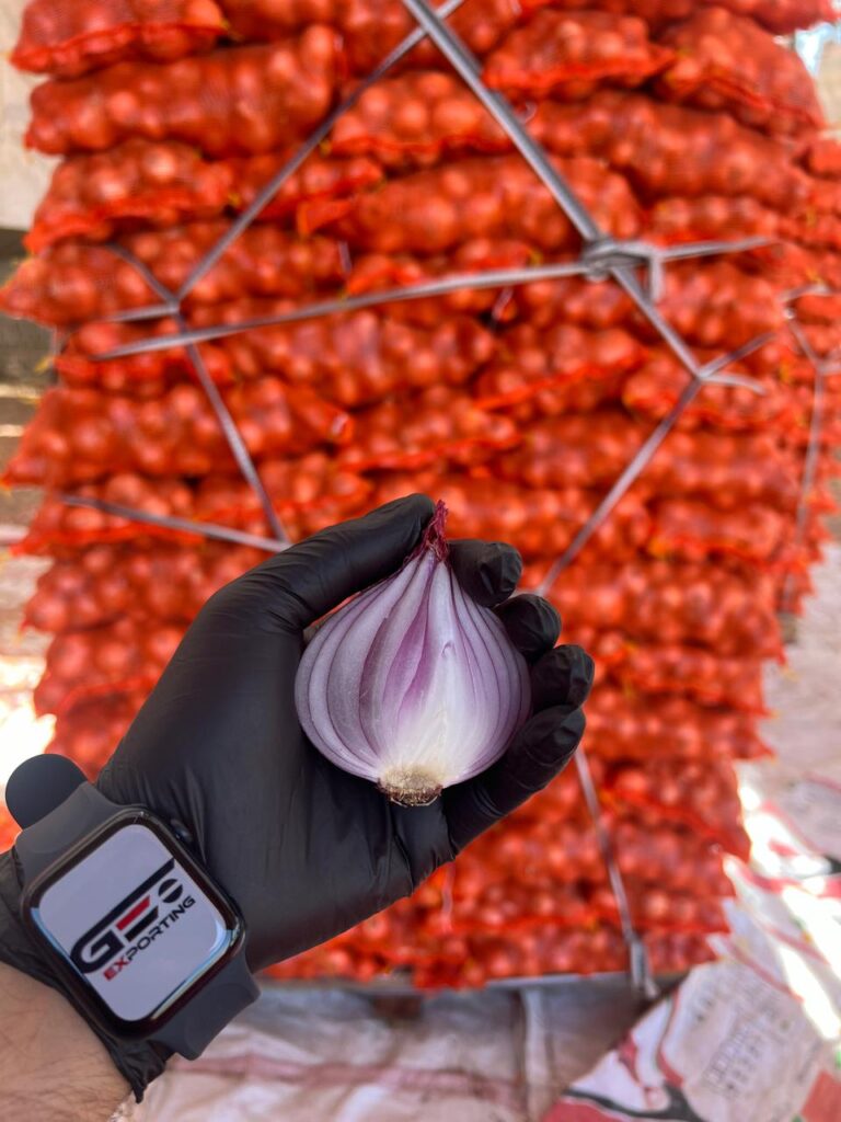 Premium GEO EXPORTING RED ONIONS