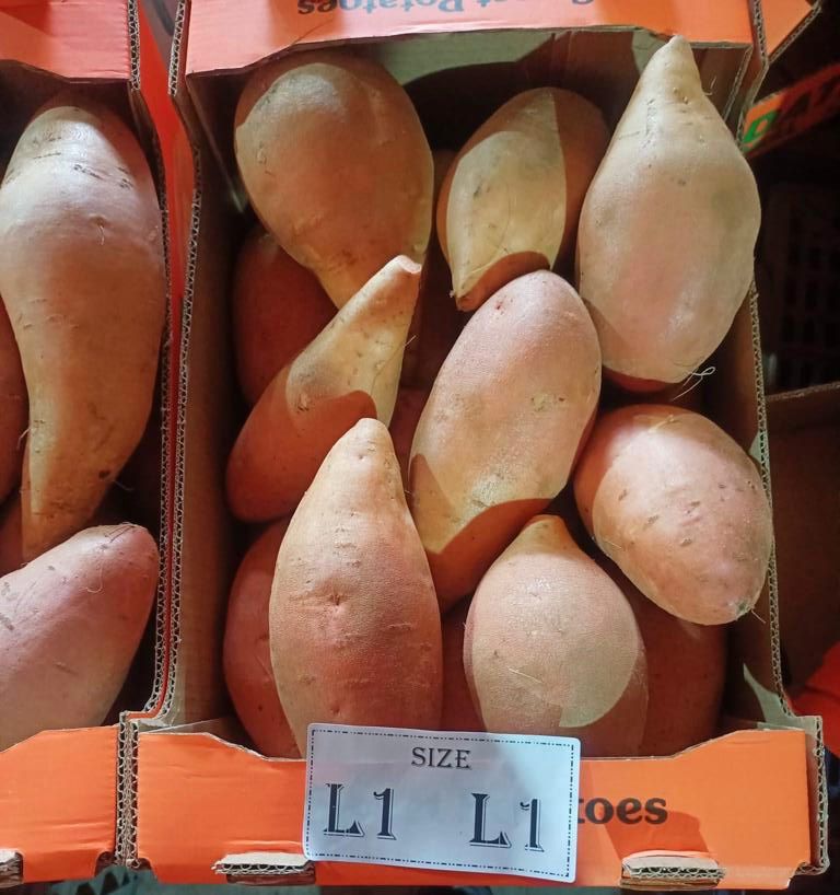 Exportation Patate Douce Vers Europe