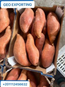 Patate Douce Fraîche D Égypte