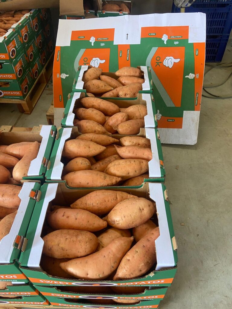 sweet potatoes in 6kg Carton
