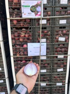 Bulk Red Onion Loading 2025