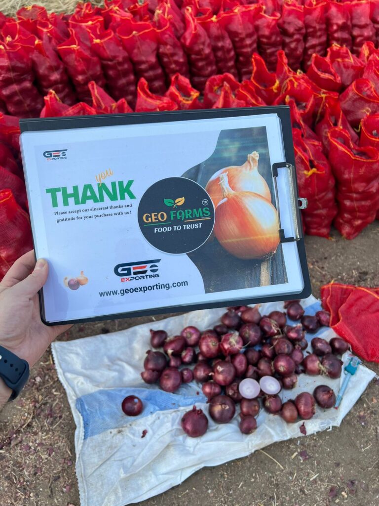 Fresh Red Onions In Plastic Box