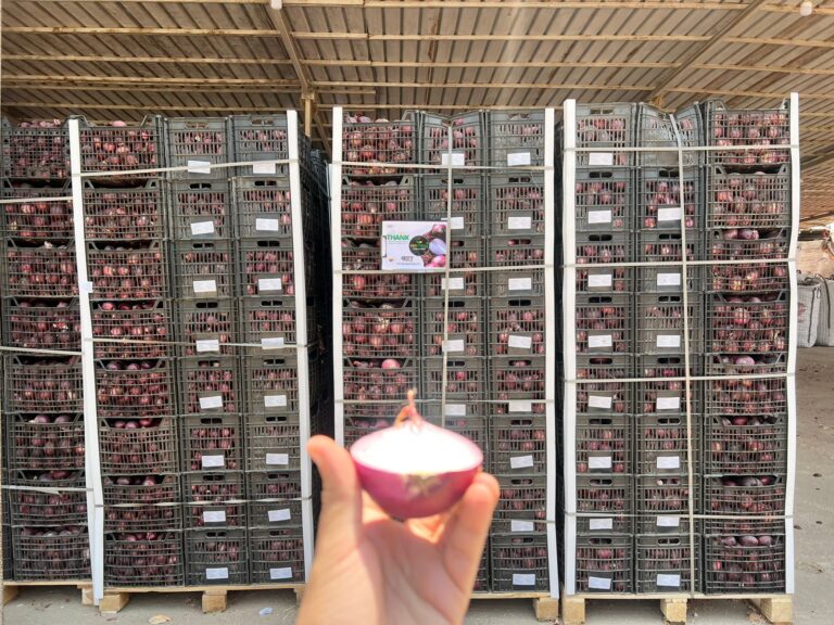 Red Onion Packing Station Team