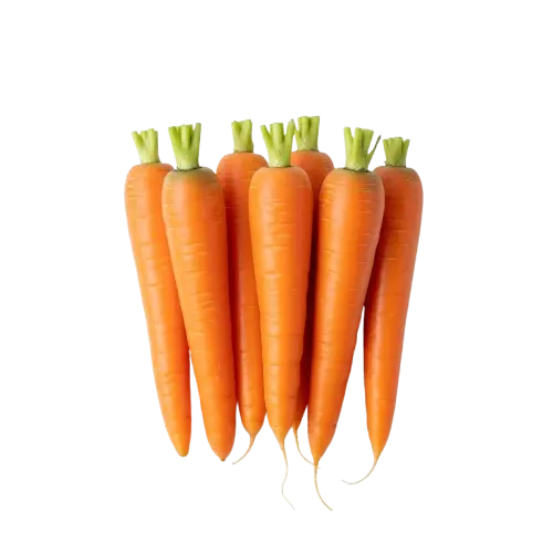 Fresh carrots for export from GeoExporting