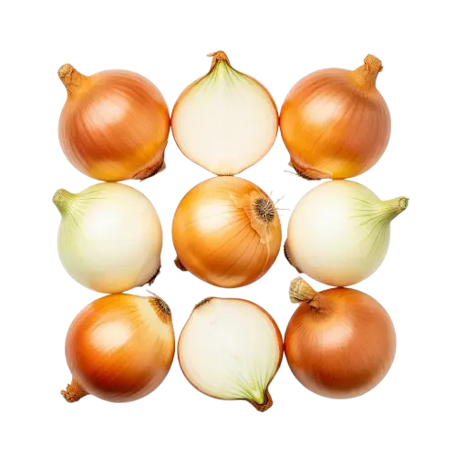 Yellow onions wholesale export GeoExporting