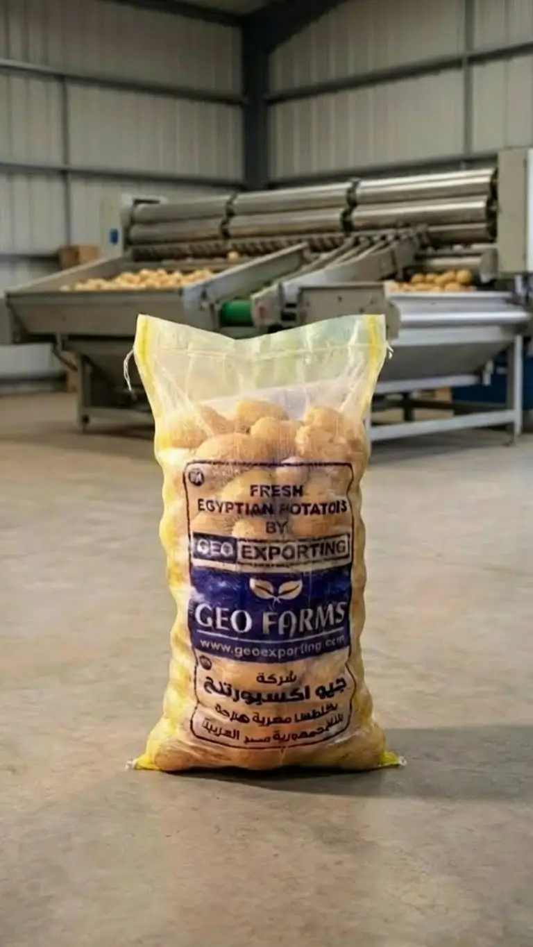 A branded GEO Farms mesh bag of Egyptian potatoes standing in front of high-capacity automated sorting and grading conveyor machinery.