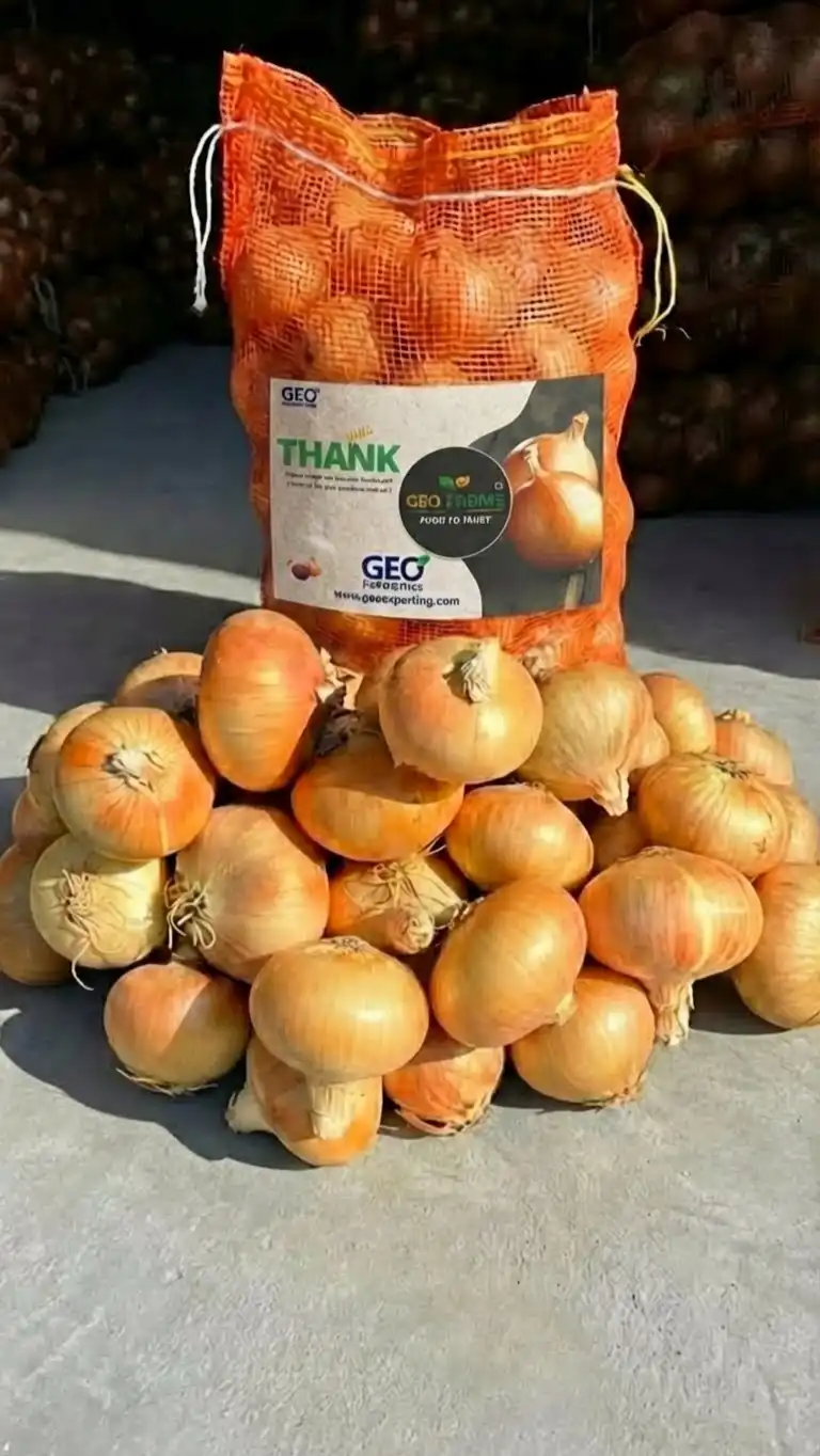 Golden Onions Mesh Bag