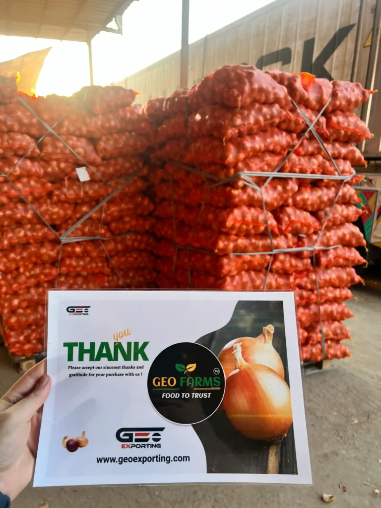 Hand holding a GEO FARMS "Thank You" card in front of stacked onion pallets and a Maersk shipping container during loading.