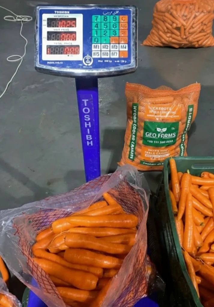 Digital scale verifying the 10kg net weight of a GEO Farms carrot bag during final quality control before export.