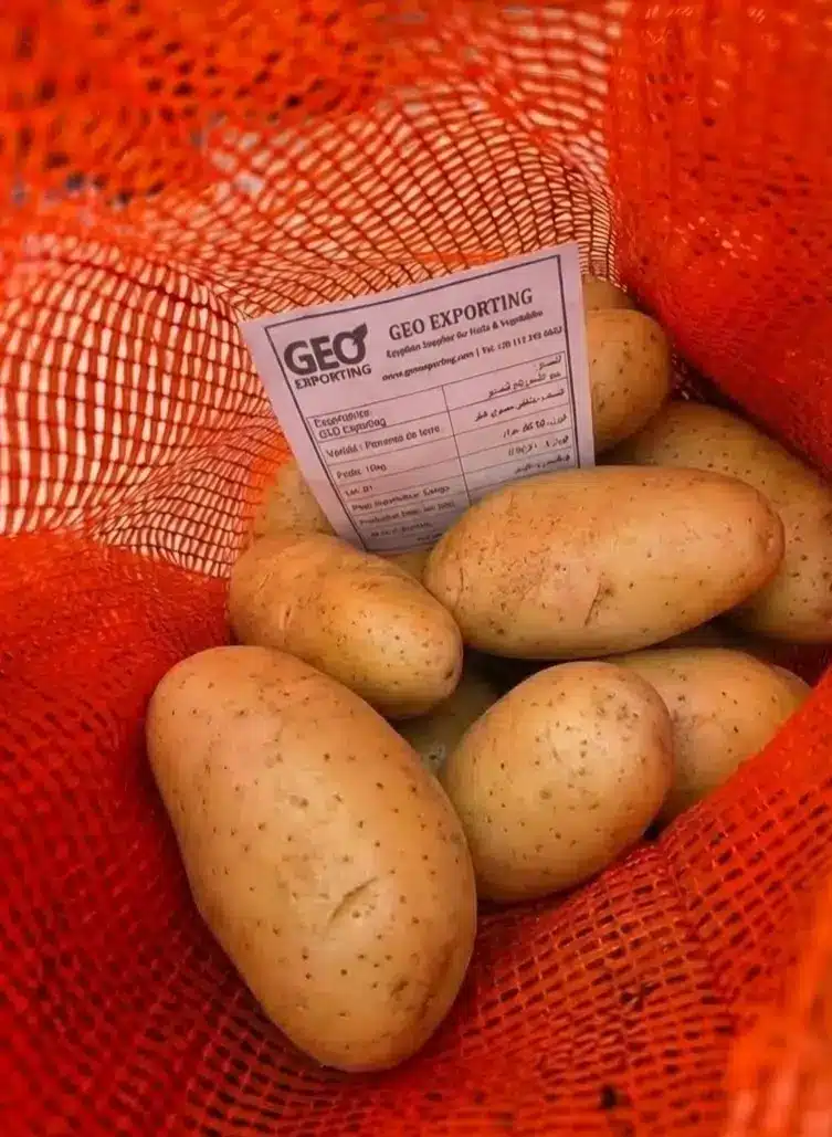 A close-up of high-quality Egyptian potatoes inside an orange mesh bag with a GEO Exporting product specification card visible.