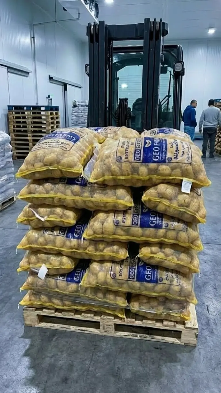 A forklift carrying a large, palletized stack of GEO Farms branded mesh bags filled with Egyptian potatoes in a high-capacity export warehouse