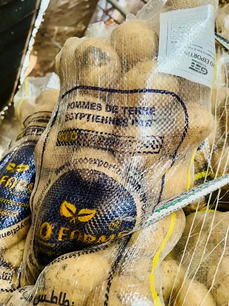A close-up of large, clean Egyptian potatoes inside a transparent mesh bag with a GEO Farms brand logo and export specification label.
