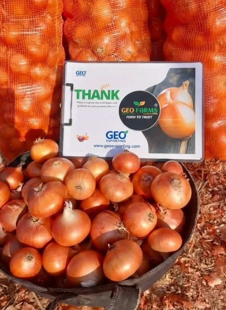 Black harvest basket filled with fresh Egyptian Golden Onions during field collection, displayed with a GEO FARMS "Thank You" clipboard.