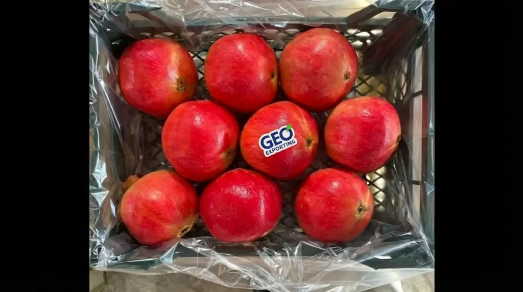 Top-down view of an open-top plastic crate containing 9 fresh Egyptian Wonderful Pomegranates with plastic liner, ready for export by GEO Exporting.