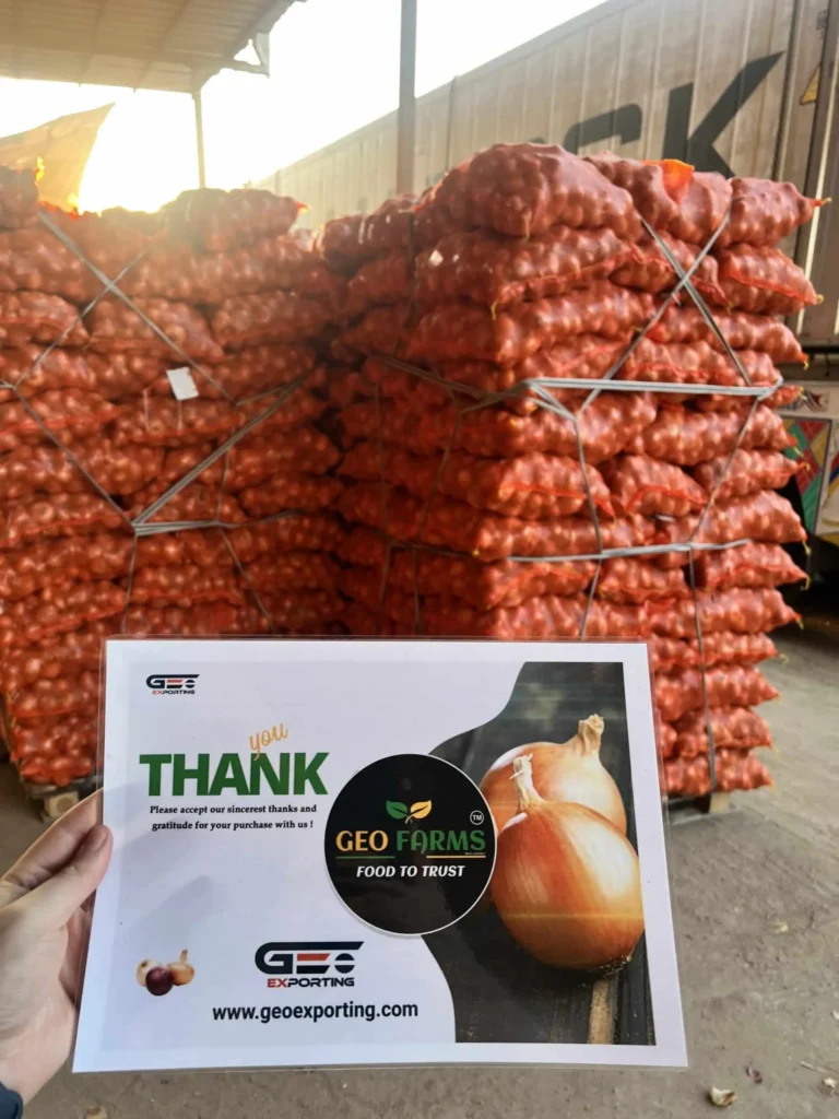 Hand holding a GEO Farms "Thank You" card in front of loaded pallets of Golden Onions, symbolizing customer appreciation for export orders.