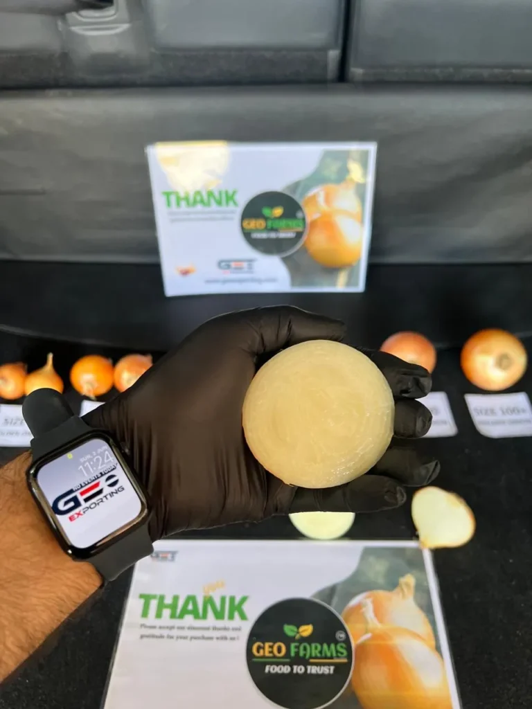 Quality inspector in black gloves holding a fresh cut Egyptian Golden Onion against a background of size-graded onions and GEO FARMS branding.