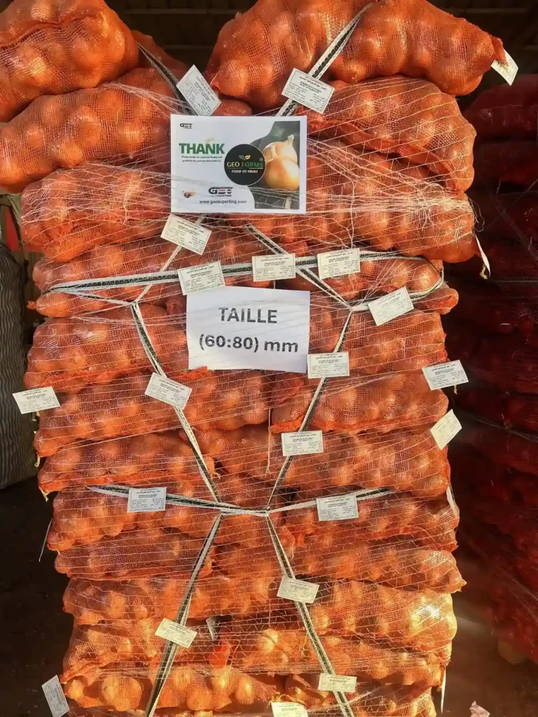 Full export pallet of Egyptian Golden Onions packed in red mesh bags by GEO Farms, labeled size 60-80mm for wholesale shipment.