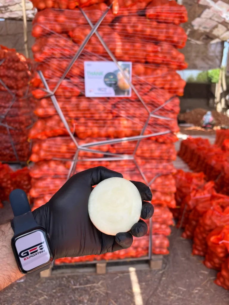 Quality inspector in black gloves holding a fresh white onion cross-section in front of stacked export pallets and GEO FARMS branding.