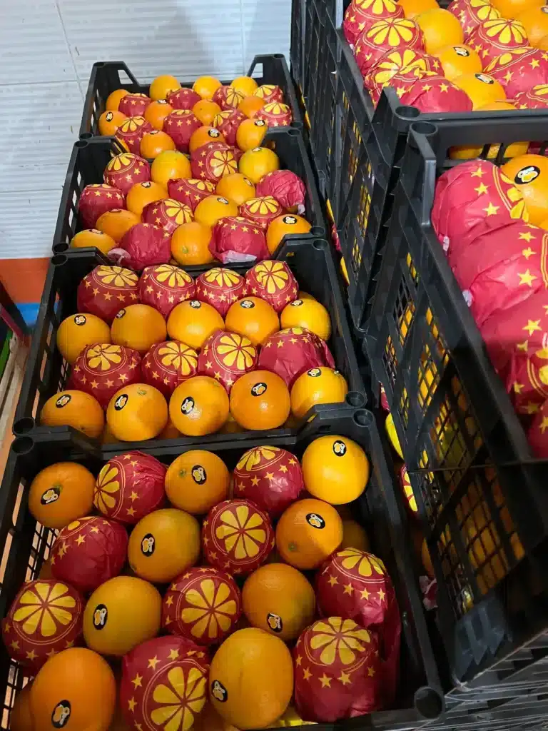 Close-up of open black plastic export crates filled with fresh oranges, featuring individually paper-wrapped fruit with red star patterns and branded quality stickers for supermarket display.
