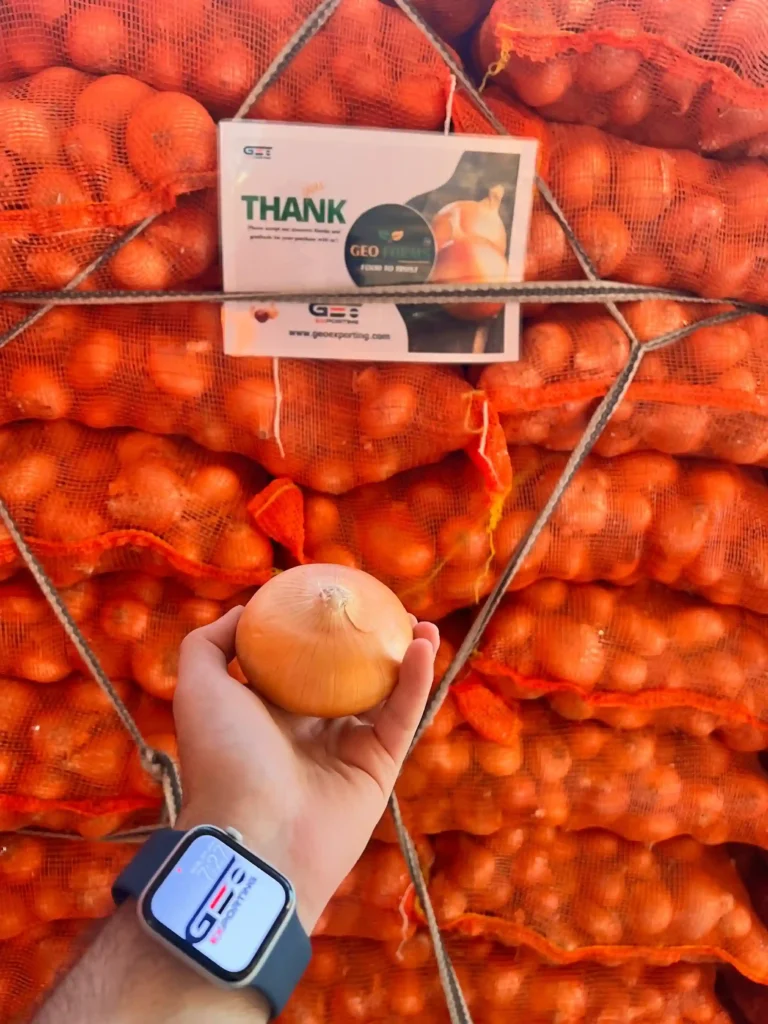 Hand holding a premium Egyptian Golden Onion in front of stacked export pallets, featuring a GEO EXPORTING branded smartwatch and "Thank You" card.