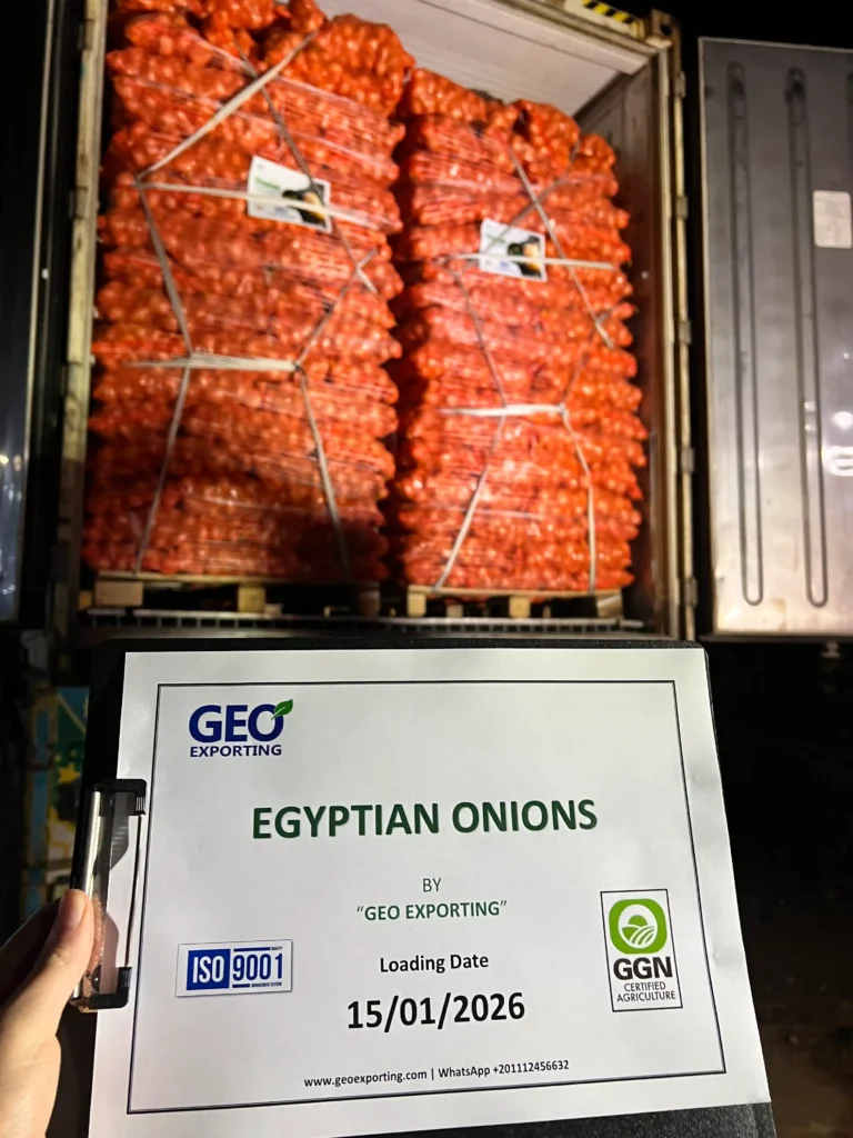 Verified loading report for Egyptian Onions by GEO EXPORTING, showing date 15/01/2026 and ISO 9001 certification during night loading.