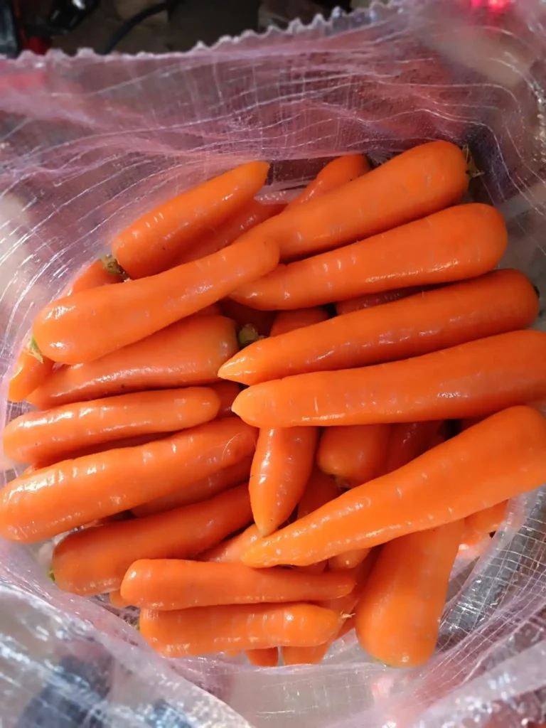 Top-down view of washed and polished Egyptian carrots inside a clear plastic liner bag, showing vibrant orange color and smooth texture.