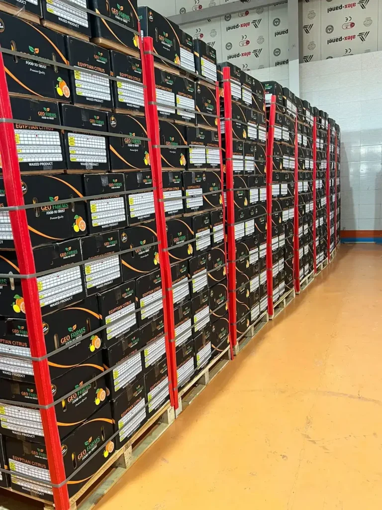 Securely palletized stacks of GEO Exporting Egyptian Navel Oranges in a temperature-controlled warehouse, ready for 40ft reefer container loading and global distribution.