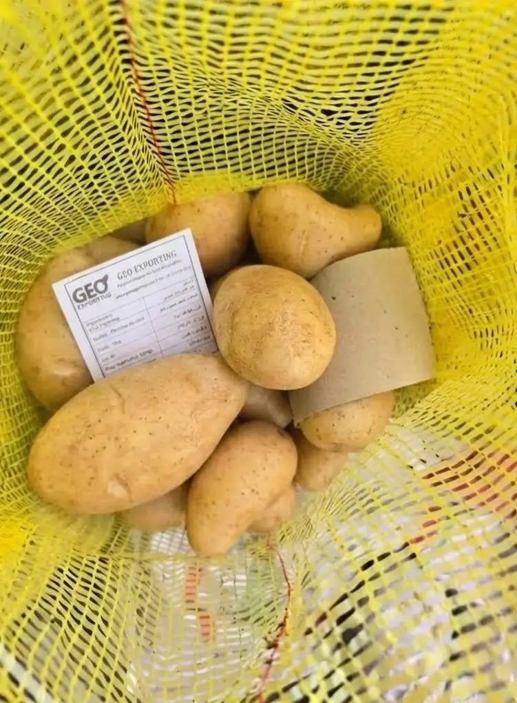 Looking down into a yellow mesh bag filled with fresh Egyptian potatoes, featuring an official GEO Exporting specification label.
