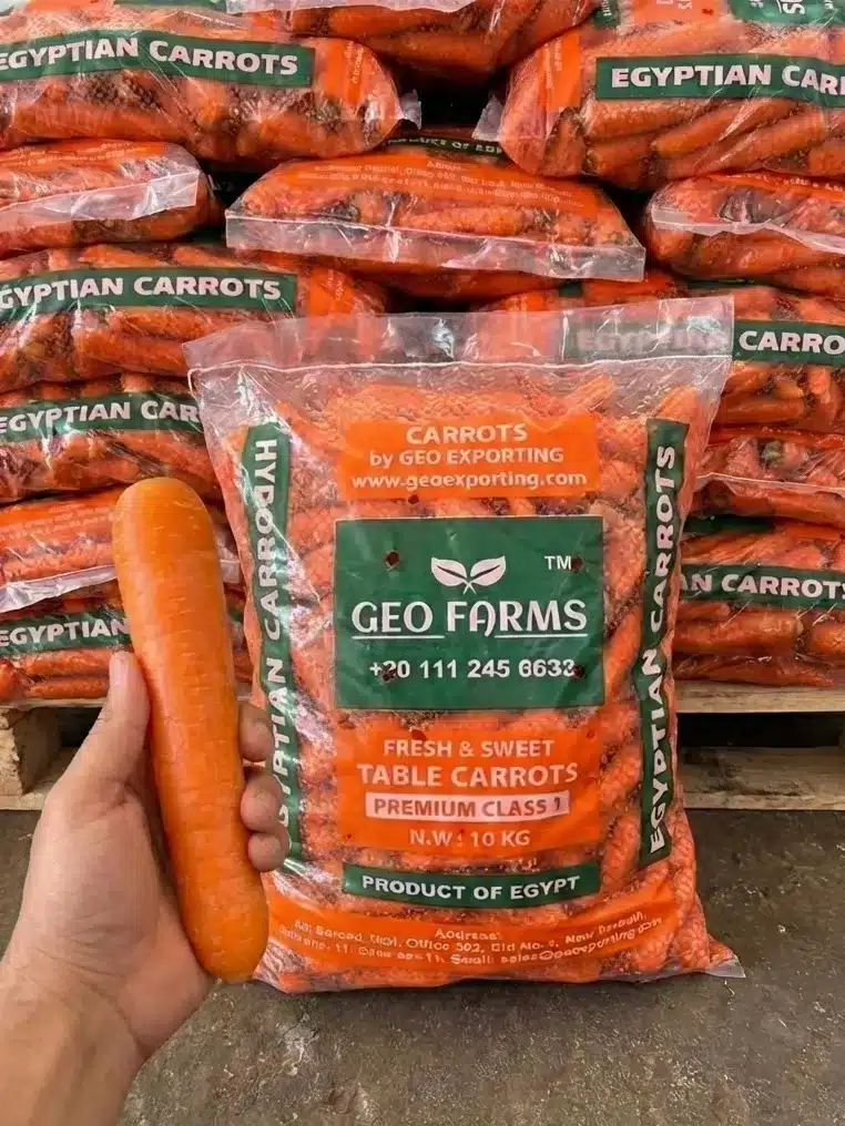 Fresh Carrots from Egypt: Premium Bulk Wholesale Specialist