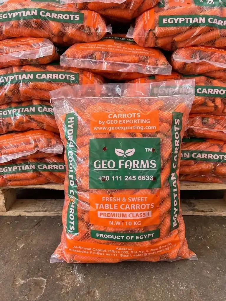 Premium Fresh Carrots from Egypt in GEO Farms 10kg mesh bags.