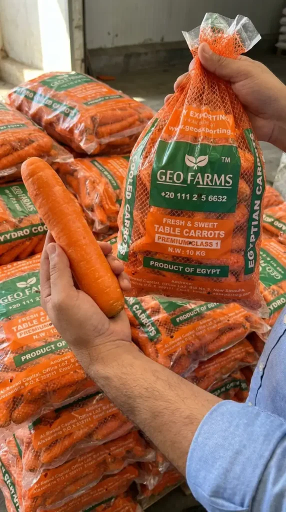 Palletized GEO Farms 10kg mesh bags of premium Egyptian fresh carrots, hydro-cooled for long-distance export and shelf-life stability.
