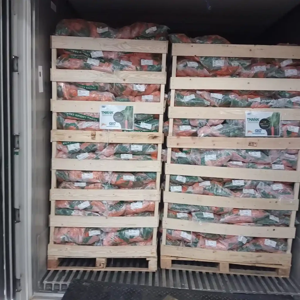 Inside a 40ft reefer container showing two tall pallets of GEO FARMS Egyptian carrots in 10kg poly bags, stacked in ventilated wooden crates for secure export.