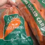 1kg retail bag of GEO FARMS brand fresh Egyptian carrots, washed, polished, and hydro-cooled, Class 1 quality for export.