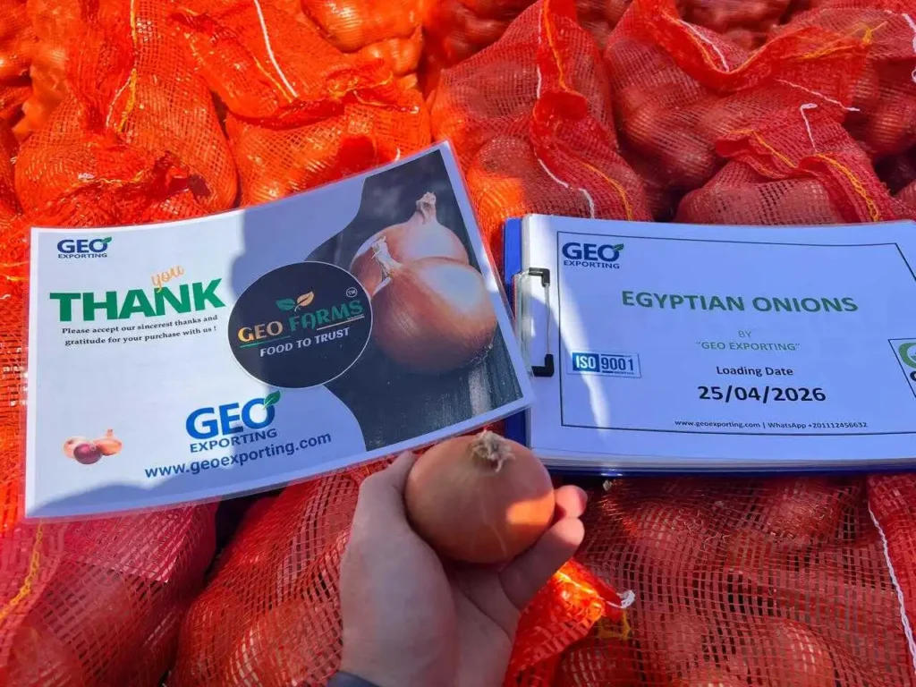A verified shipment of Egyptian Golden Onions by GEO Exporting, featuring an ISO 9001 certification and a loading date of April 2026. The photo shows premium bulk onions in red mesh bags with a "GEO FARMS Food to Trust" quality guarantee.