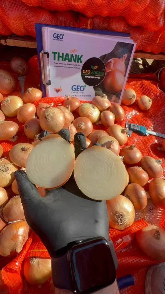 7 Top Secrets to Sourcing Wholesale Yellow Onions from Egypt